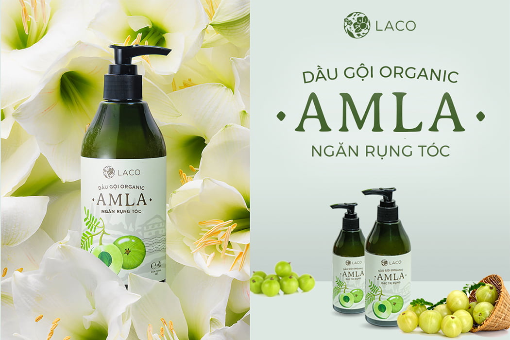 Dầu gội thảo dược Oganic Amla Laco